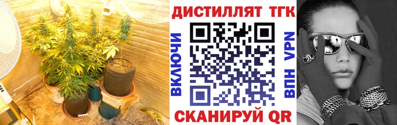 магазин продажи   Михайловск  ТГК вейп с тгк 