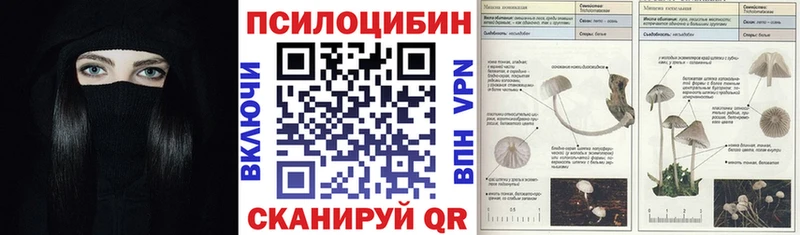 цены   Михайловск  Галлюциногенные грибы мицелий 