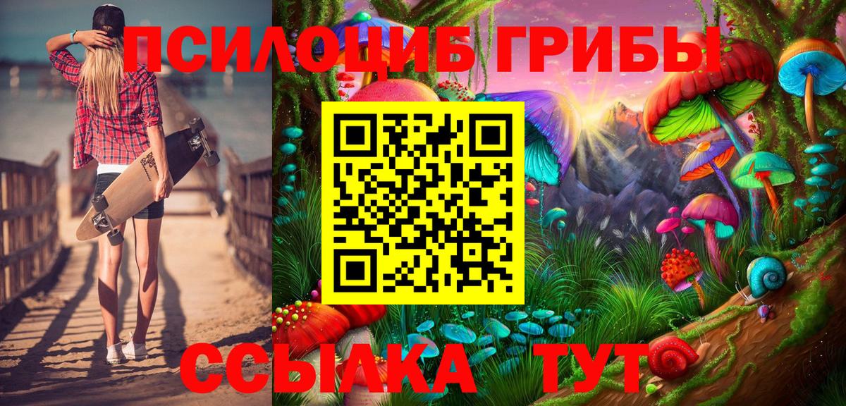 дарнет шоп  Псилоцибиновые грибы Magic Shrooms  Вход с VPN  Михайловск 